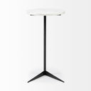 Mercana Ballatine 15" x 15" x 27" Metal Side Table