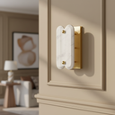 Mercana Stein 5" x 6" x 12" Wall Sconce