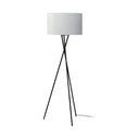 Mercana Ambrose 22" x 22" x 65.5" Metal Floor Lamp