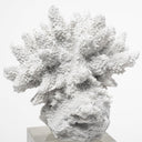 Mercana Isla 4.7" x 4.7" x 10.4" Resin Decorative Object