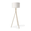 Mercana Ambrose 20" x 20" x 61.8" Metal Floor Lamp