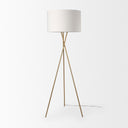 Mercana Ambrose 20" x 20" x 61.8" Metal Floor Lamp