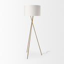 Mercana Ambrose 20" x 20" x 61.8" Metal Floor Lamp