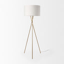 Mercana Ambrose 20" x 20" x 61.8" Metal Floor Lamp