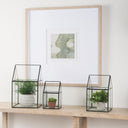 Mercana Sikes 7.9" x 7.9" x 13" Glass Box