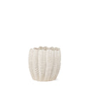 Mercana Velia 11.6" x 11.4" x 11" Ceramic Vase