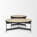 Mercana Wade 56" x 32" x 13.5" Metal,Stone Coffee Table