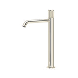 Polished Nickel