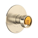 Satin Nickel / Satin Gold