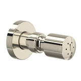 Polished Nickel