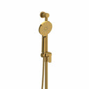 Brushed Gold / Ceiling Arm