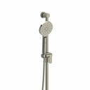 Brushed Nickel / Wall Arm