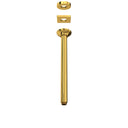 Unlacquered Brass