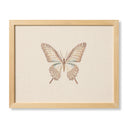 Ivory / Brown