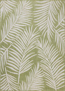 Ivory / Green