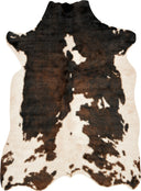 Beige / Brown / 5' x 6'-6"