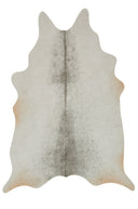 Silver / Grey / 5' x 6'-6"