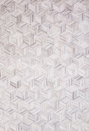 Lt Grey / Ivory / 2'-3" x 3'-9"