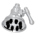 Polished Nickel