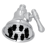 Polished Nickel