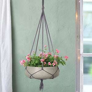 Pots & Planters