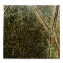 Rainforest Green Marble