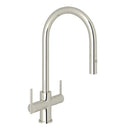 Polished Nickel