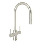 Polished Nickel