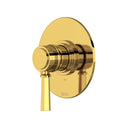 Unlacquered Brass