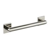 Polished Nickel
