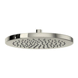 Polished Nickel