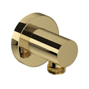 Unlacquered Brass