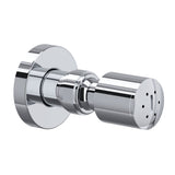 Polished Chrome