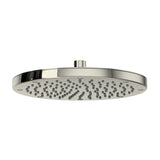 Polished Nickel