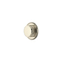 Polished Nickel