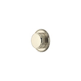 Polished Nickel