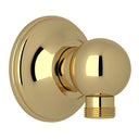 Unlacquered Brass