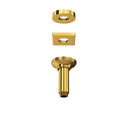 Unlacquered Brass