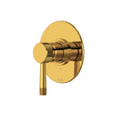 Unlacquered Brass