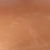 hazelnut.png