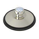 Polished Nickel