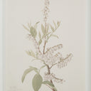 Renwil Crema 13.25" Wide Wall Decor - Printed Artwork