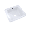 Cotton White