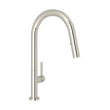 Polished Nickel