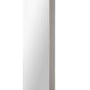 Renwil Delphinus 46" Tall Rectangle Wall Mirror - Grey