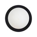 Renwil Sybils 6.5" Length Wall Sconce - Matte Black
