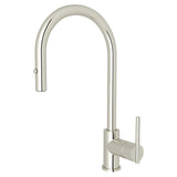 Polished Nickel
