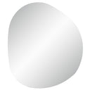 Renwil Terni 45" Tall Irregular Led Mirror - Clear