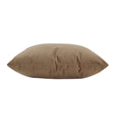 Renwil Alchemilla 20 x 20 Indoor Pillow - Camel