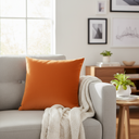 Renwil Prato 20 x 20 Indoor Pillow - Mango